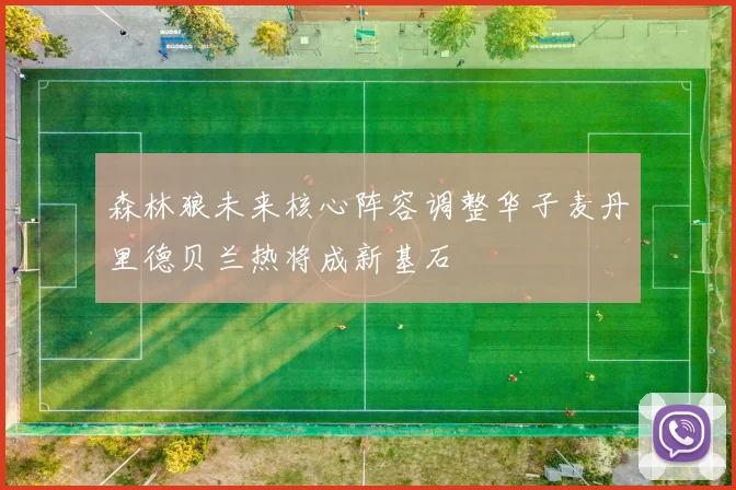 森林狼未来核心阵容调整华子麦丹里德贝兰热将成新基石