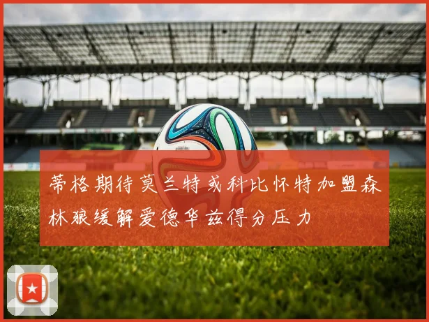 蒂格期待莫兰特或科比怀特加盟森林狼缓解爱德华兹得分压力
